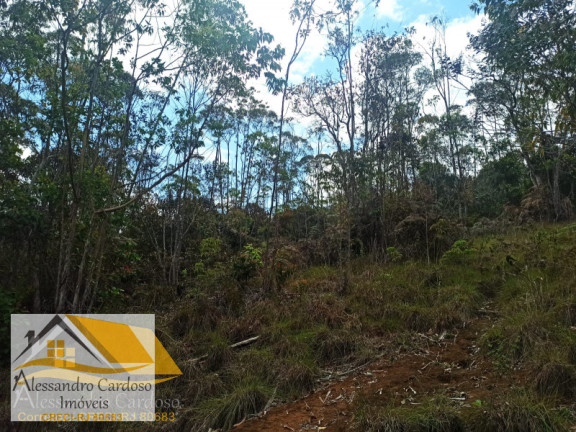 Imagem Terreno à Venda, 20.000 m² em Rio Grande De Cima - Nova Friburgo Imagem Terreno à Venda, 20.000 m² em Rio Grande De Cima - Nova Friburgo
