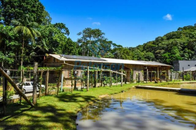 Imagem Chácara com 7 Quartos à Venda, 148.918 m² em Braço - Camboriú Imagem Chácara com 7 Quartos à Venda, 148.918 m² em Braço - Camboriú