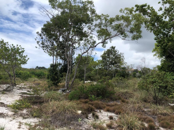Imagem Terreno à Venda, 700 m² em Praia Do Forte - Mata De São João