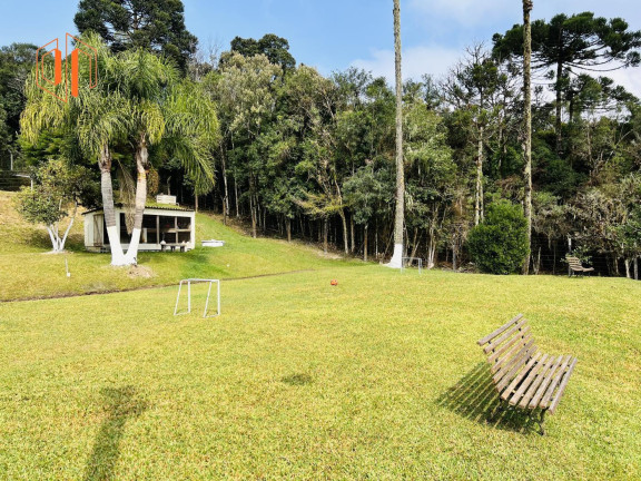Imagem Imóvel à Venda, 4.000 m² em Borda Do Campo - São José Dos Pinhais Imagem Imóvel à Venda, 4.000 m² em Borda Do Campo - São José Dos Pinhais