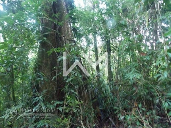 Imagem Fazenda à Venda, 70 m² em Juquiá - Juquiá Imagem Fazenda à Venda, 70 m² em Juquiá - Juquiá