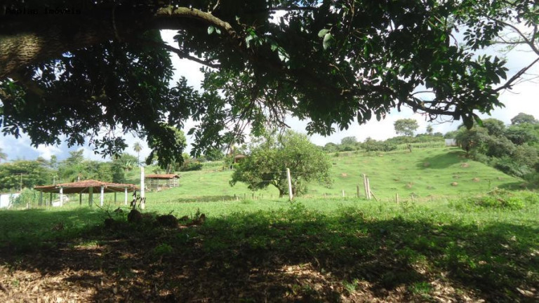 Imagem Fazenda à Venda, 6 m² em Azurita - Mateus Leme