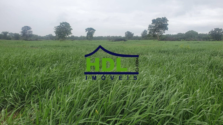 Imagem Fazenda à Venda, 110 m² em Cocalinho