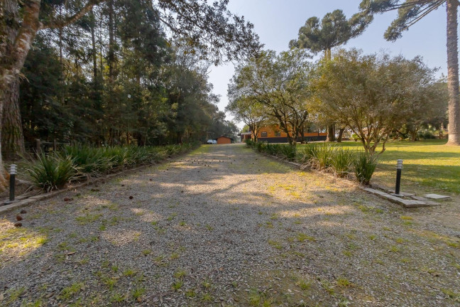 Imagem Imóvel com 4 Quartos à Venda, 37.906 m² em Ouro Verde - Campo Largo Imagem Imóvel com 4 Quartos à Venda, 37.906 m² em Ouro Verde - Campo Largo