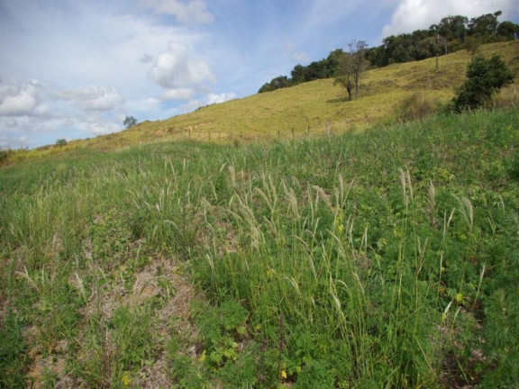 Imagem Imóvel à Venda, 435.600 m² em Zona Rural - Jacui