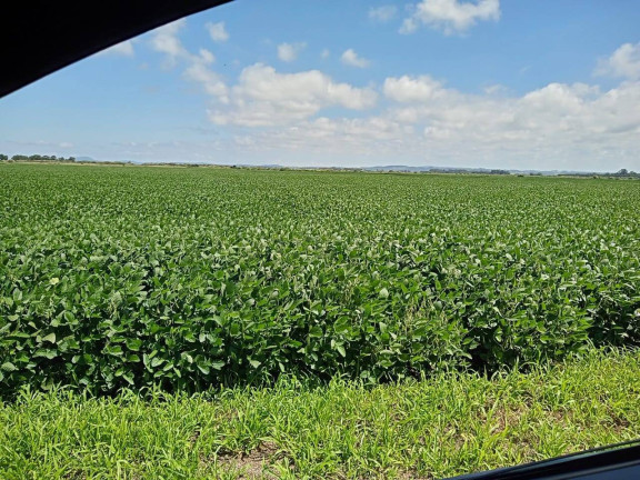 Imagem Chácara à Venda, 194 m² em águas Claras - Viamão