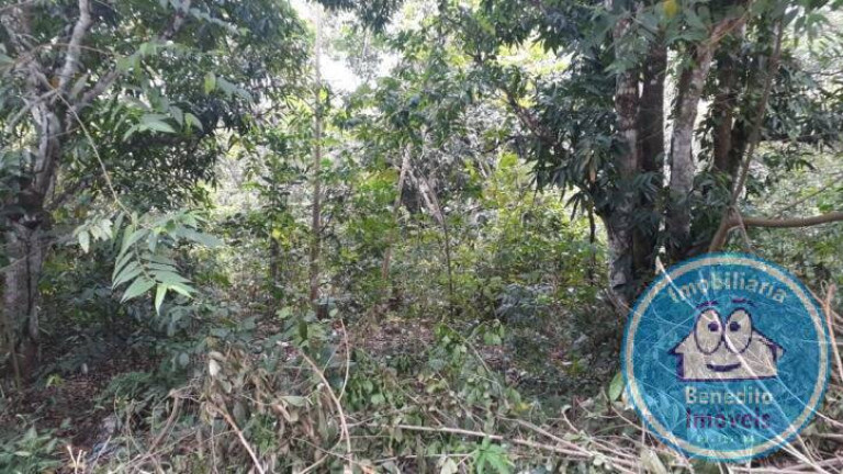 Imagem Terreno à Venda, 1 m² em Trancoso - Porto Seguro Imagem Terreno à Venda, 1 m² em Trancoso - Porto Seguro