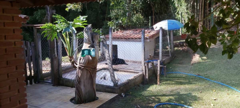 Imagem Chácara com 3 Quartos à Venda, 23.339 m² em Vargem Grande - Pinhalzinho Imagem Chácara com 3 Quartos à Venda, 23.339 m² em Vargem Grande - Pinhalzinho