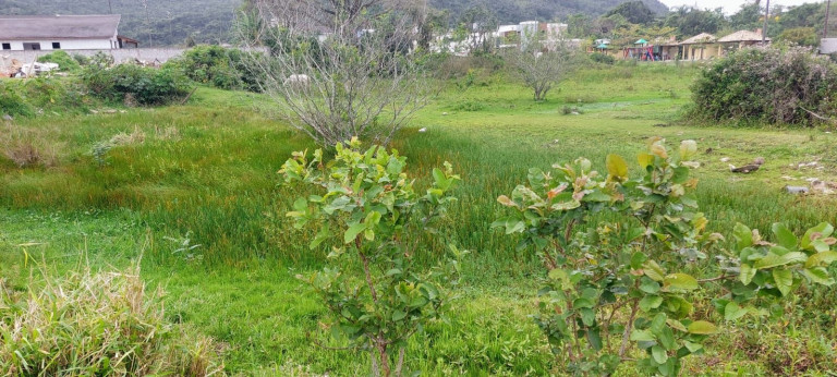 Imagem Terreno à Venda, 2.458 m² em Vargem Grande - Florianópolis Imagem Terreno à Venda, 2.458 m² em Vargem Grande - Florianópolis