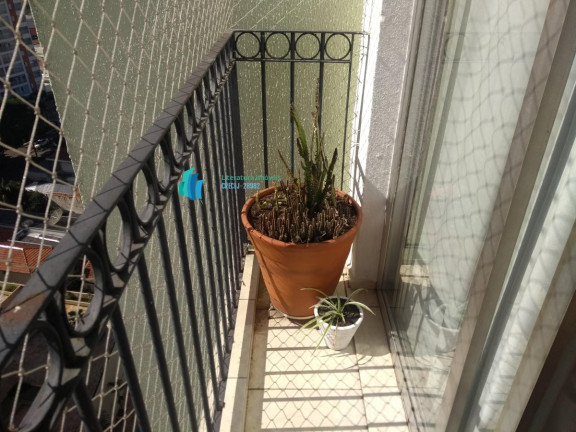 Imagem Apartamento com 3 Quartos à Venda, 69 m² em Vila Da Saúde - São Paulo