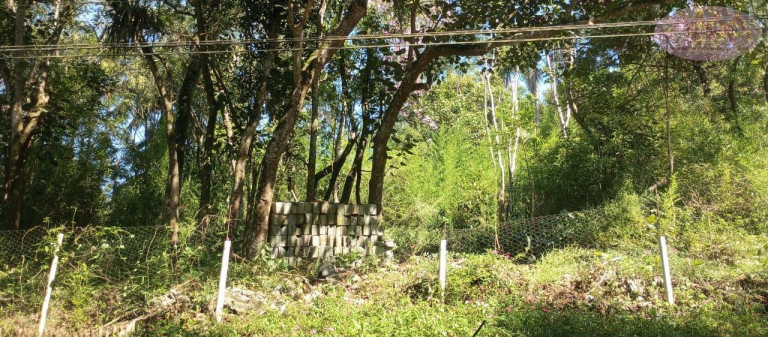 Imagem Terreno à Venda, 1.205 m² em Jardim Dos Eucaliptos - Suzano