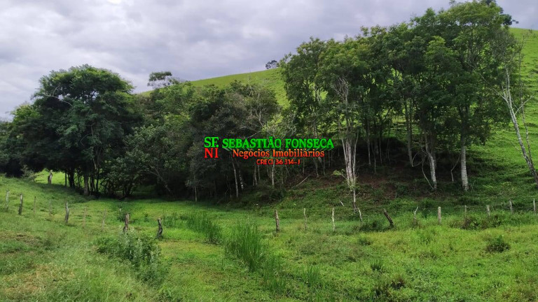 Imagem Fazenda à Venda, 65 m² em Centro - Cunha Imagem Fazenda à Venda, 65 m² em Centro - Cunha