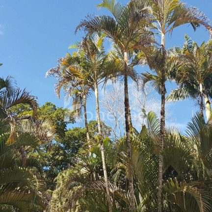Imagem Chácara com 5 Quartos à Venda, 500 m² em Bairro Laranjeira - Paraibuna Imagem Chácara com 5 Quartos à Venda, 500 m² em Bairro Laranjeira - Paraibuna