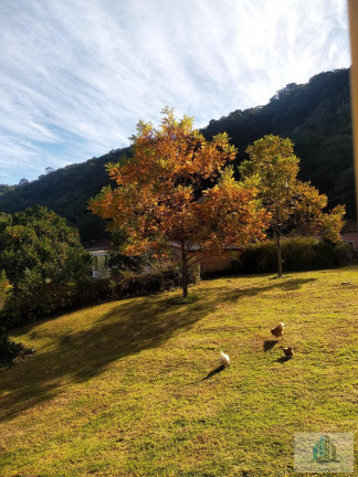 Imagem Chácara com 4 Quartos à Venda, 245 m²