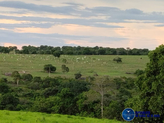 Imagem Fazenda à Venda, 187 m² em Zona Rural - Mineiros Imagem Fazenda à Venda, 187 m² em Zona Rural - Mineiros