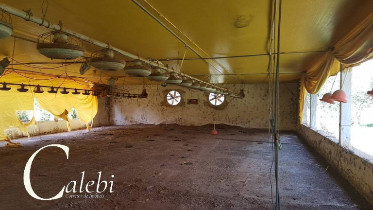 Imagem Chácara com 10 Quartos à Venda, 3 m² em Aparecidinha - Jacutinga Imagem Chácara com 10 Quartos à Venda, 3 m² em Aparecidinha - Jacutinga