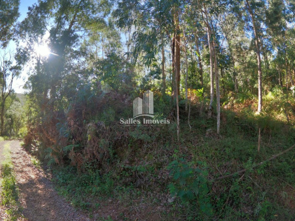 Imagem Terreno à Venda, 10.000 m² em São Cristovão - Flores Da Cunha Imagem Terreno à Venda, 10.000 m² em São Cristovão - Flores Da Cunha