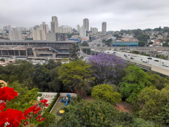 Imagem Apartamento com 3 Quartos à Venda, 115 m² em Jardim Aeroporto - São Paulo