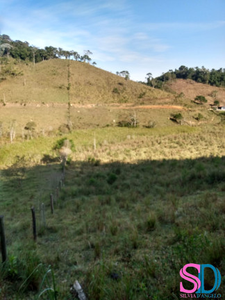 Imagem Fazenda à Venda, 122.500 m² em Centro - Natividade Da Serra
