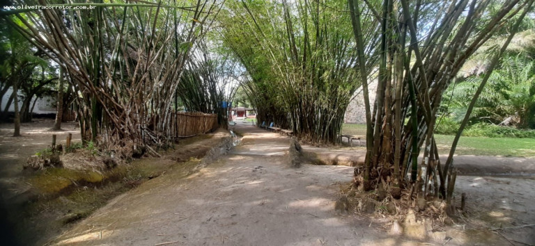 Imagem Imóvel com 30 Quartos à Venda, 40.000 m² em Indústrias - João Pessoa Imagem Imóvel com 30 Quartos à Venda, 40.000 m² em Indústrias - João Pessoa