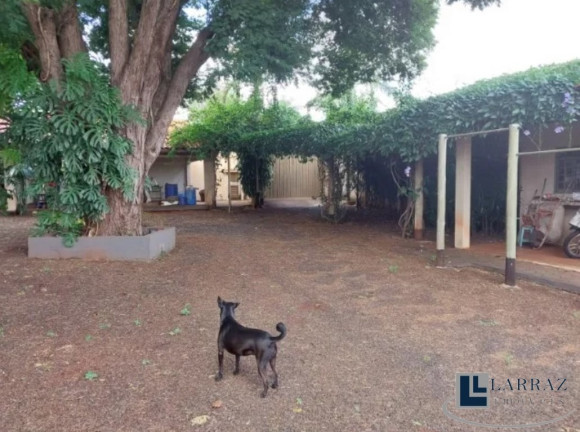 Imagem Imóvel com 5 Quartos à Venda, 590 m² em Recreio Das Acácias - Ribeirão Preto Imagem Imóvel com 5 Quartos à Venda, 590 m² em Recreio Das Acácias - Ribeirão Preto