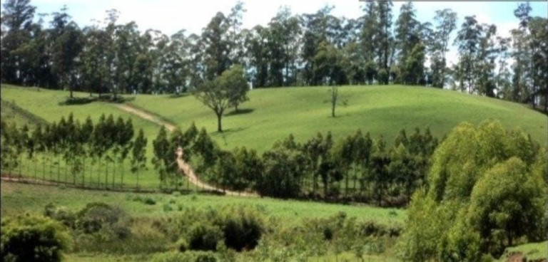 Imagem Fazenda à Venda, 300 m² em Centro - Guaratinguetá Imagem Fazenda à Venda, 300 m² em Centro - Guaratinguetá