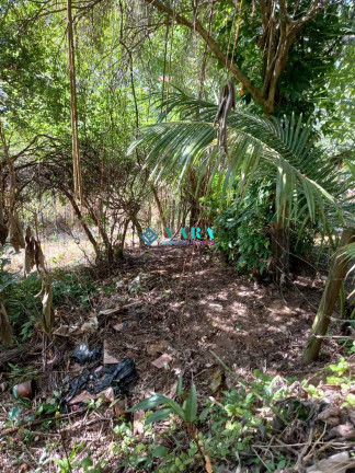 Imagem Terreno à Venda, 1.938 m² em Barra Velha - Ilhabela