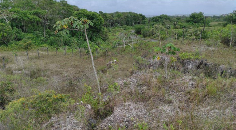 Imagem Terreno à Venda, 17.000 m² em Centro - Camaçari Imagem Terreno à Venda, 17.000 m² em Centro - Camaçari