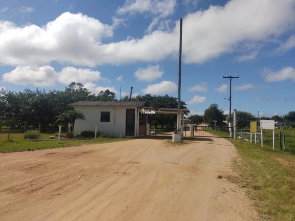 Imagem Casa com 3 Quartos à Venda, 20 m² em Varzinha (itapuã) - Viamão
