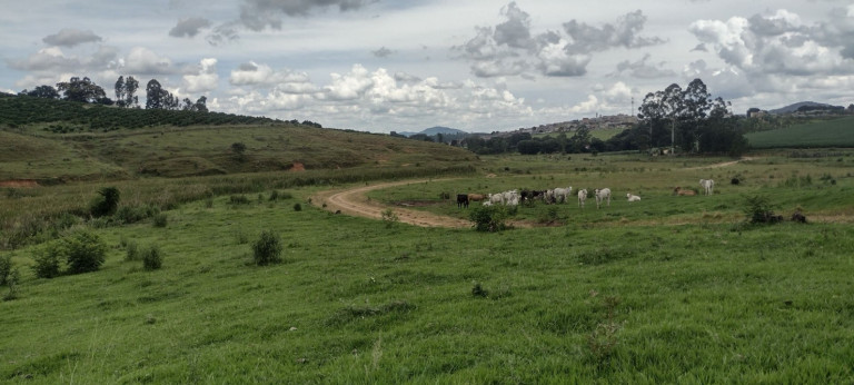 Imagem Fazenda à Venda, 150 m² em Centro - Conceição Do Rio Verde Imagem Fazenda à Venda, 150 m² em Centro - Conceição Do Rio Verde