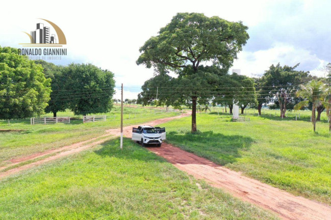 Imagem Fazenda à Venda, 18.150.000 m² em Jardim Monterey - Jales