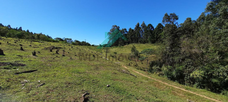 Imagem Chácara com 2 Quartos à Venda, 60 m² em Serra Do Araçatuba - Tijucas Do Sul Imagem Chácara com 2 Quartos à Venda, 60 m² em Serra Do Araçatuba - Tijucas Do Sul