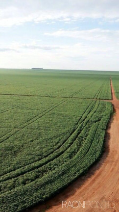 Imagem Fazenda à Venda, 34.060.000 m² em Zona Rural - Novo São Joaquim Imagem Fazenda à Venda, 34.060.000 m² em Zona Rural - Novo São Joaquim