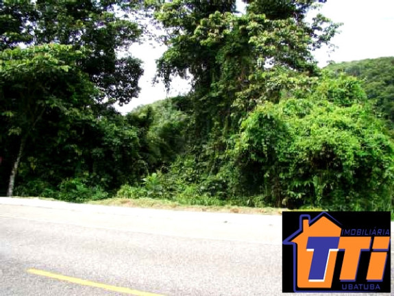 Imagem Terreno à Venda, 6.000 m² em Ubatumirim - Ubatuba Imagem Terreno à Venda, 6.000 m² em Ubatumirim - Ubatuba