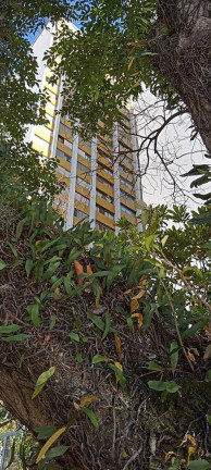Imagem Apartamento com 3 Quartos à Venda, 105 m² em Perdizes - São Paulo