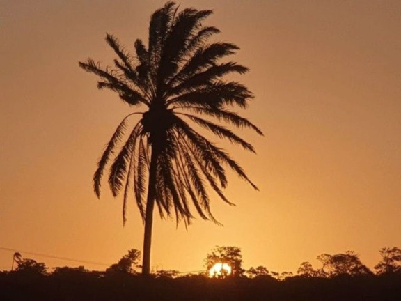 Imagem Terreno à Venda, 464 m² em Acupe - Santo Amaro Imagem Terreno à Venda, 464 m² em Acupe - Santo Amaro