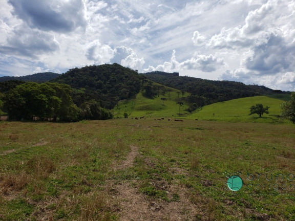 Imagem Imóvel à Venda, em Interior - Bom Retiro Imagem Imóvel à Venda, em Interior - Bom Retiro