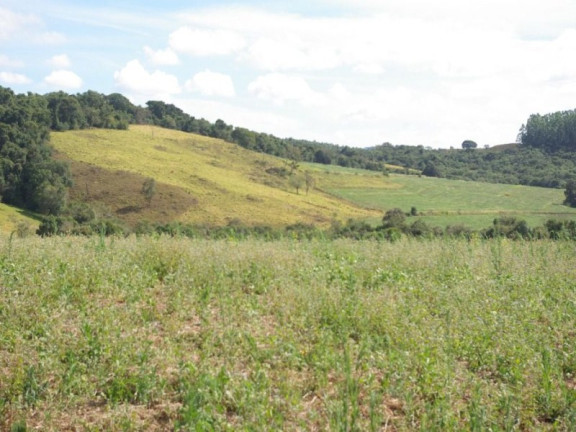 Imagem Imóvel à Venda, 435.600 m² em Zona Rural - Jacui