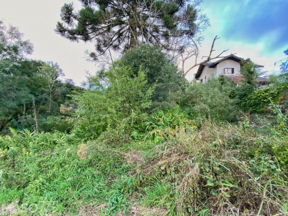 Imagem Terreno à Venda, 750 m² em Vale Das Colinas - Gramado Imagem Terreno à Venda, 750 m² em Vale Das Colinas - Gramado