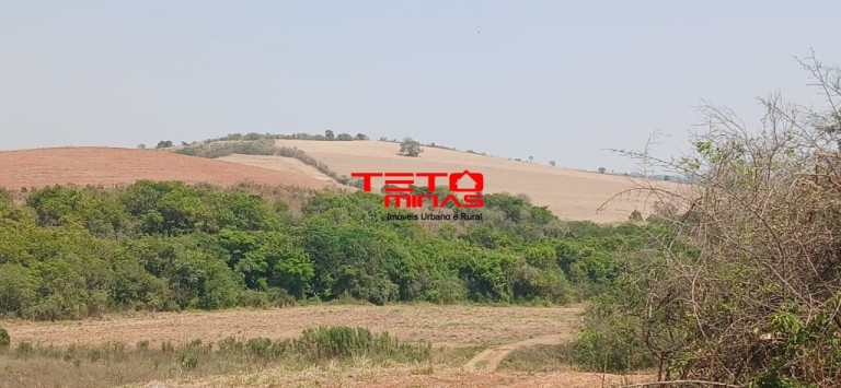 Imagem Imóvel com 4 Quartos à Venda,  em Zona Rural - Conceição Do Rio Verde