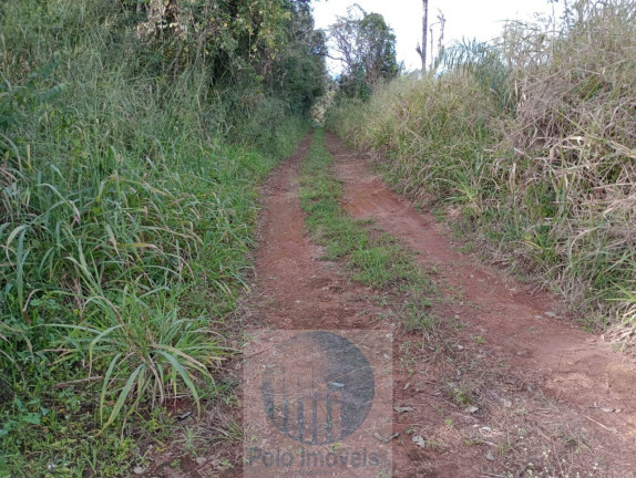 Imagem Imóvel à Venda, 240.000 m² em Rural - Altinópolis