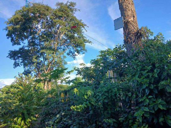 Imagem Chácara à Venda, 35 m² em Arapongas Imagem Chácara à Venda, 35 m² em Arapongas