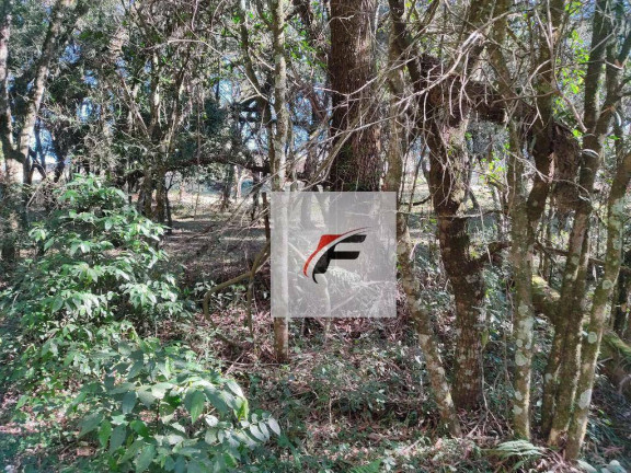 Terreno à Venda, 14.275 m² em Umbará - Curitiba