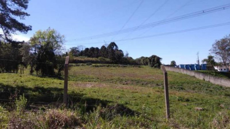 Imagem Terreno à Venda, 24.337 m² em Thomaz Coelho - Araucária