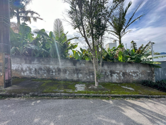 Imagem Terreno à Venda, 324 m² em Coqueiros - Florianópolis
