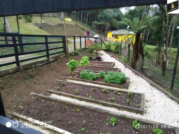 Imagem Imóvel com 3 Quartos à Venda, 16.200 m² em Zona Rural - Quatro Barras Imagem Imóvel com 3 Quartos à Venda, 16.200 m² em Zona Rural - Quatro Barras
