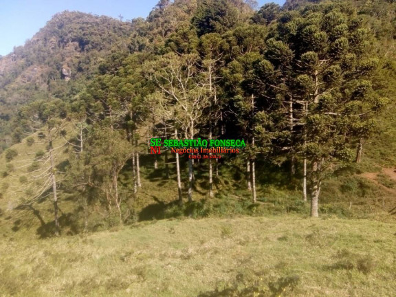 Imagem Chácara à Venda, 11 m² em Centro - Piquete Imagem Chácara à Venda, 11 m² em Centro - Piquete