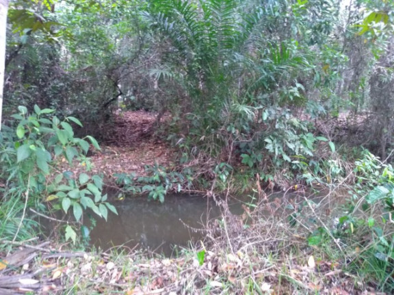 Imagem Imóvel à Venda, em Rural - Uruçuca Imagem Imóvel à Venda, em Rural - Uruçuca