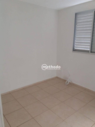 Imagem Apartamento com 3 Quartos à Venda, 66 m² em Jardim Nova Europa - Campinas Imagem Apartamento com 3 Quartos à Venda, 66 m² em Jardim Nova Europa - Campinas