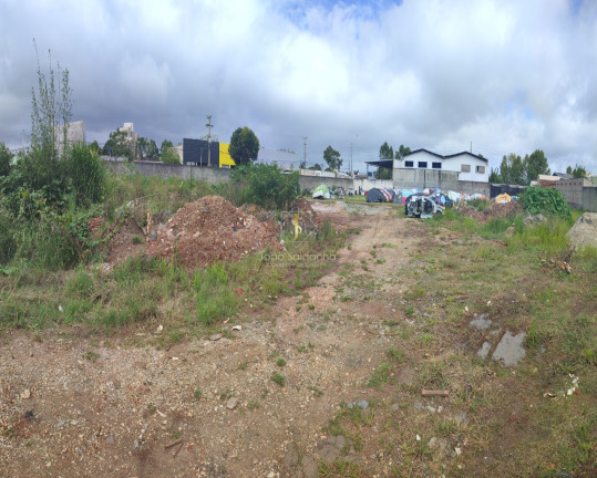 Imagem Terreno à Venda, 5.000 m² em Centro - Pinhais Imagem Terreno à Venda, 5.000 m² em Centro - Pinhais